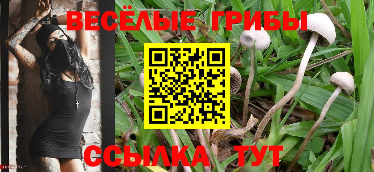 Галлюциногенные грибы ЛСД Зеленокумск
