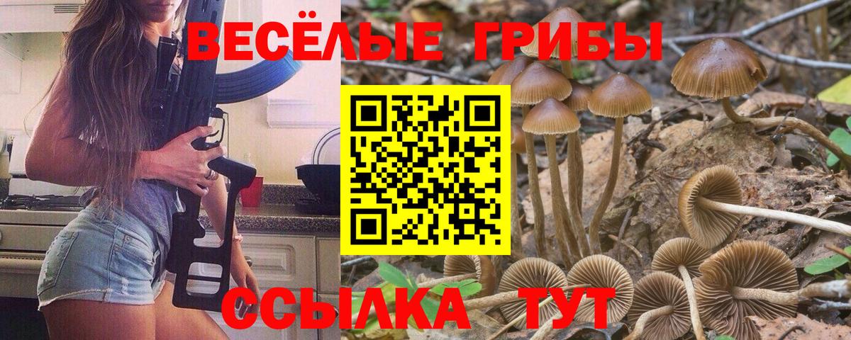 Псилоцибиновые грибы Magic Shrooms  Вход с VPN  Зеленокумск 